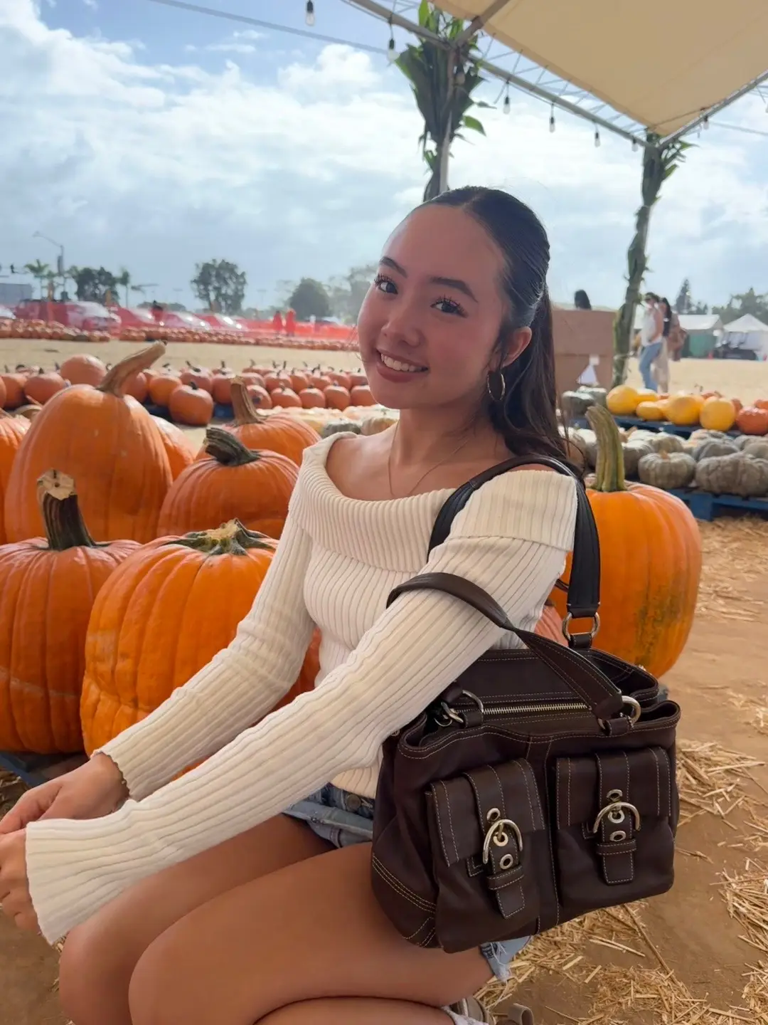 pumpkin patch 