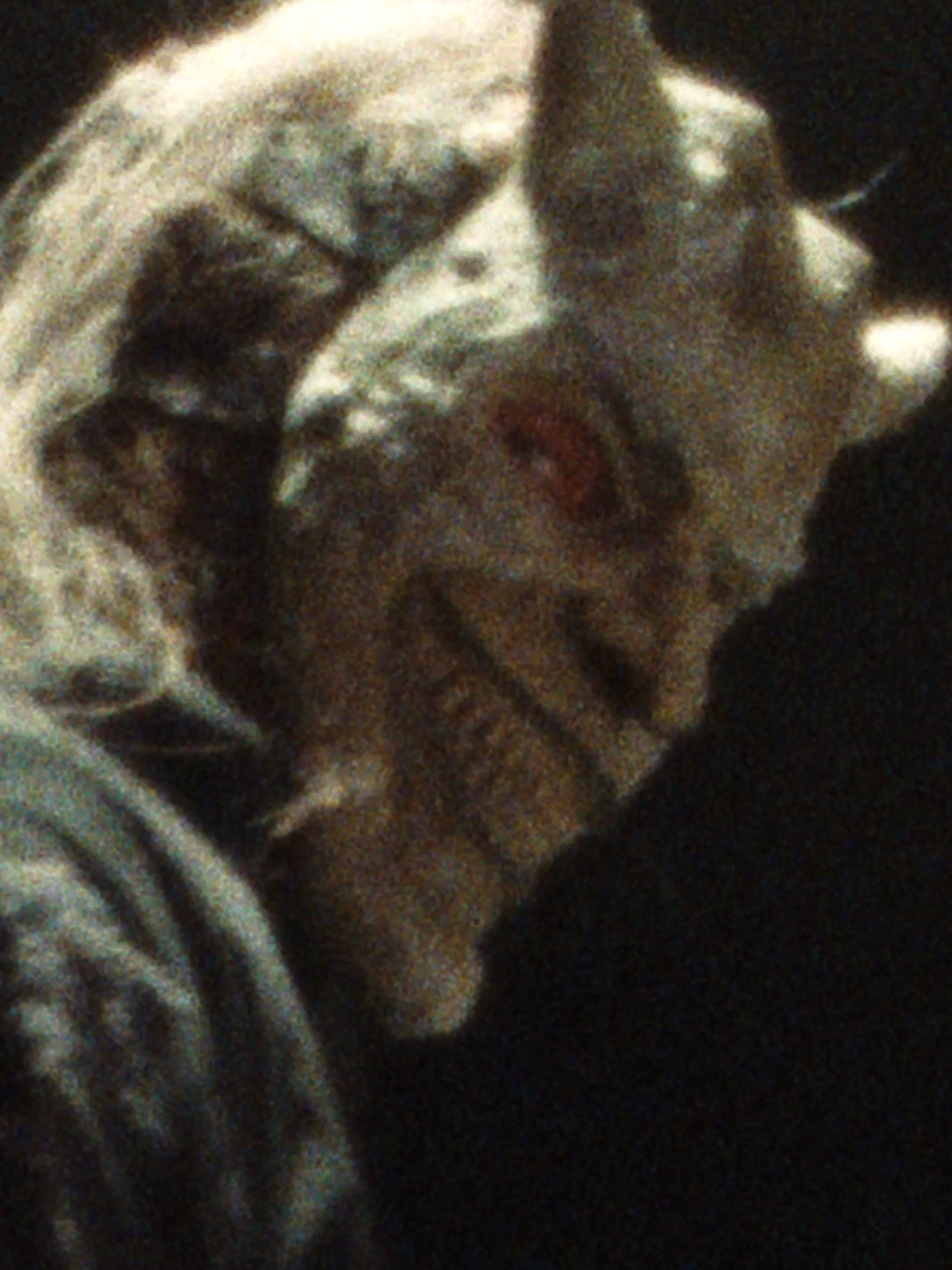 Finn, huye antes de que lo tóxico te consuma 💀📞 #TeléfonoNegro2. Ahora en cines. #octubre🎃 #peliculas #halloween2025 