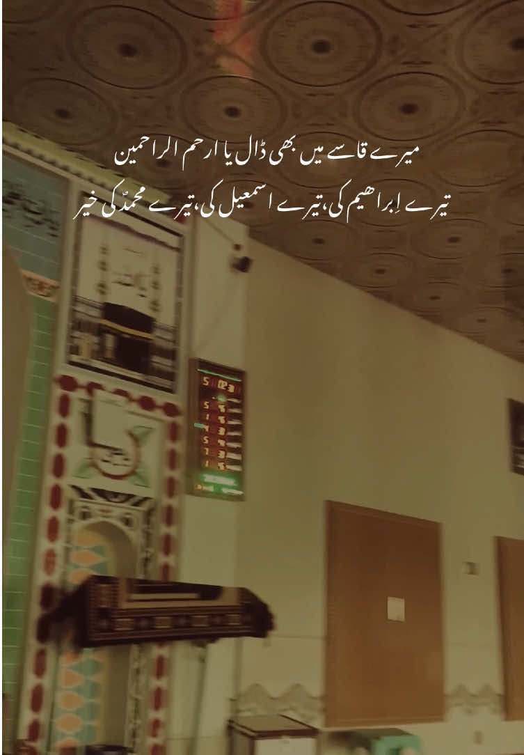 #Allah #hazrat_muhammad_s_a_w_w #nocopyright #sahabakaghulam #haq4yar😍😘 @SHANI_KHAN 👑 @shani_reminders. 
