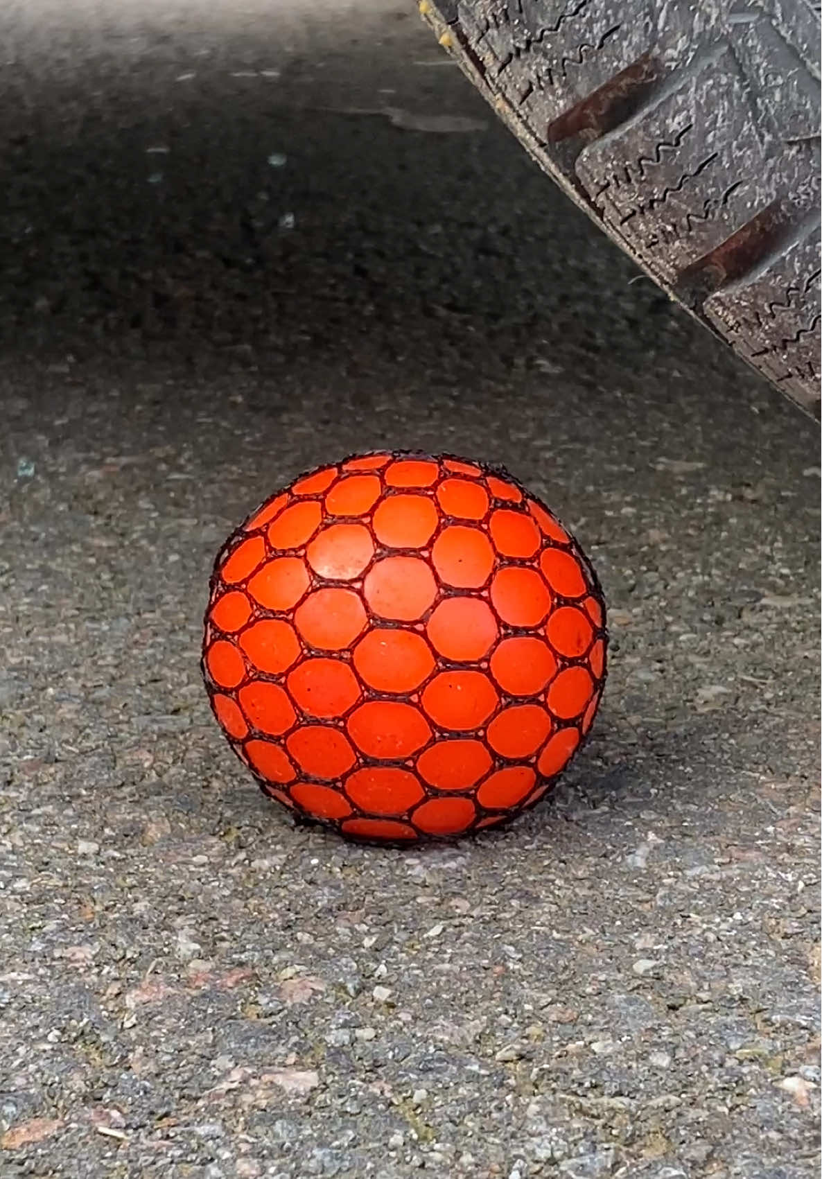 Coca Cola, Fanta, Sprite und Mentos |  Experiment #cocacola #Science #Experiment #Reels #viral