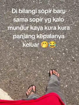 mau dibilang sudah jago