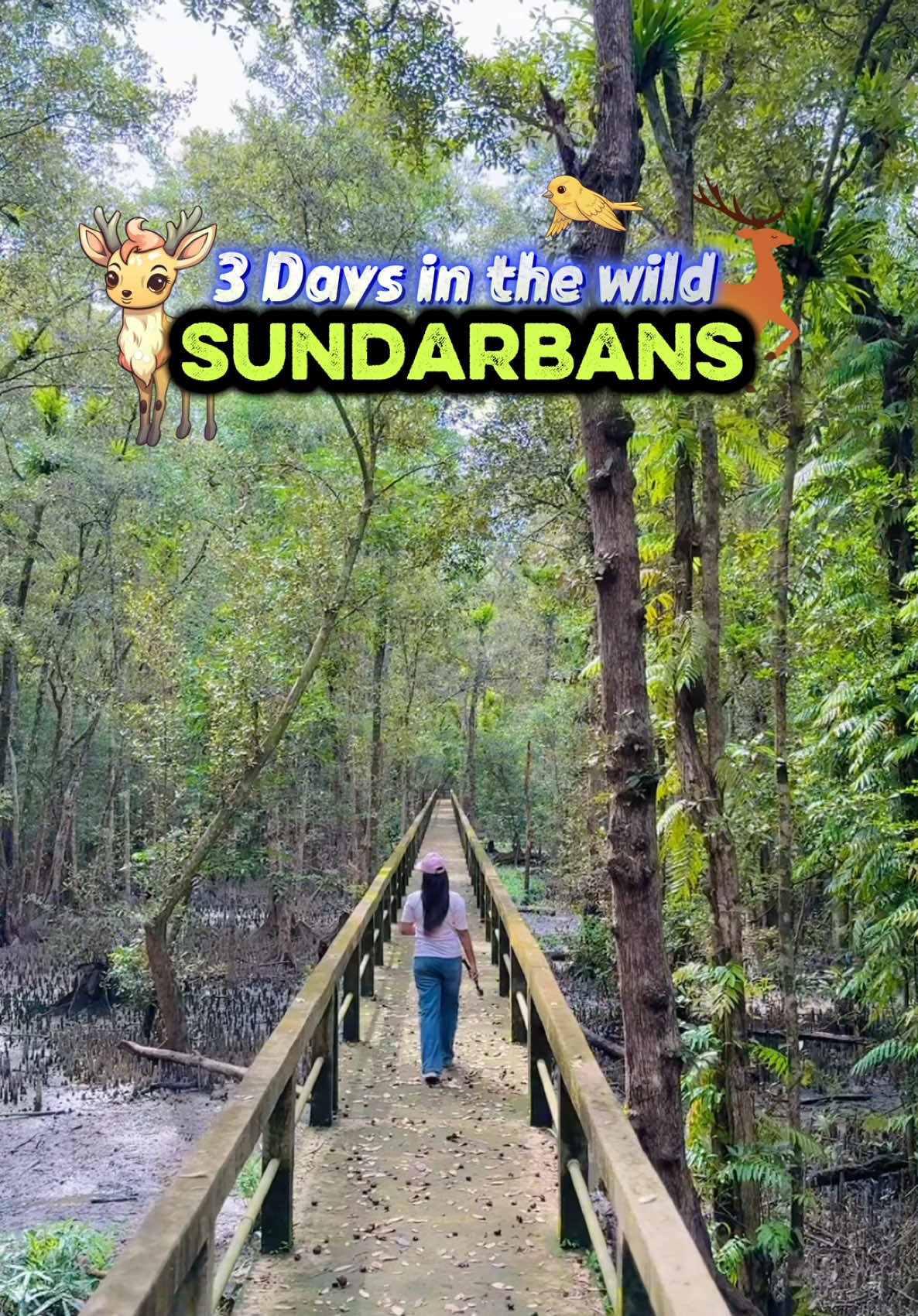 Hidden places in sundarban 🫧 #traveltok #traveltiktok #travel #wheretovisit #just_a_minute 