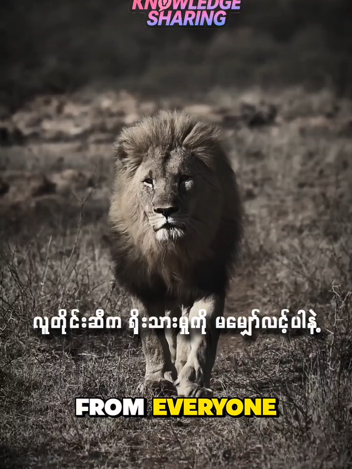 ဘဝအတွက်ခွန်အားစာပေ#motivation #knowledgesharing #လူတိုင်းဆီကရိုးသားမှုကိုမမျှော်လင့်ပါနဲ့#မေတ္တာဖြင့်ပြန်လည်မျှဝေပါသည် 