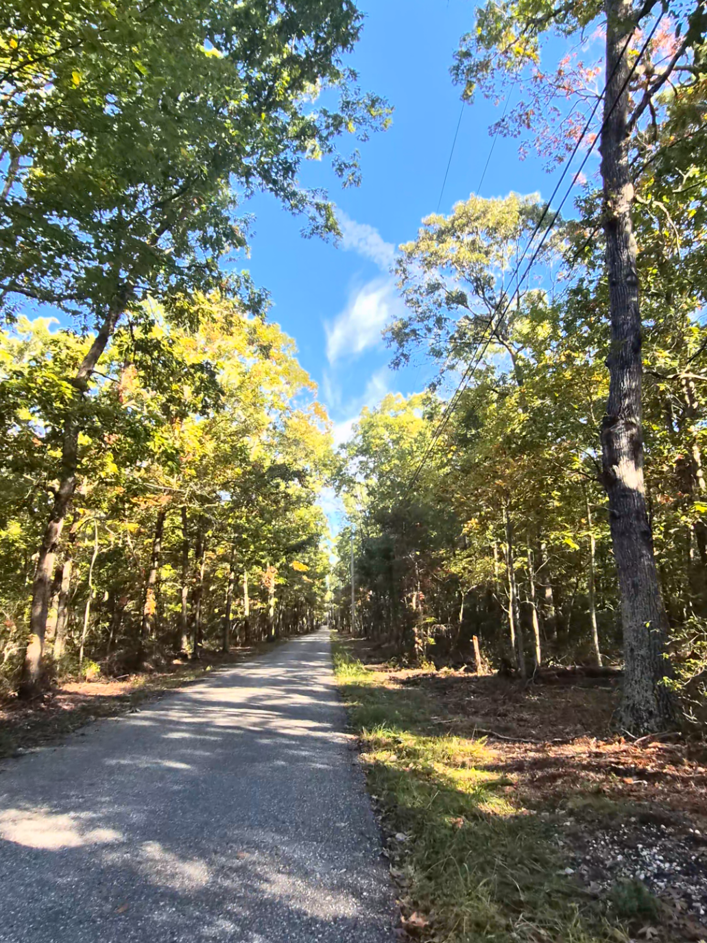 👟💨☀️🍁 have the best day!!!  #hotgirlwalk #getoutside 