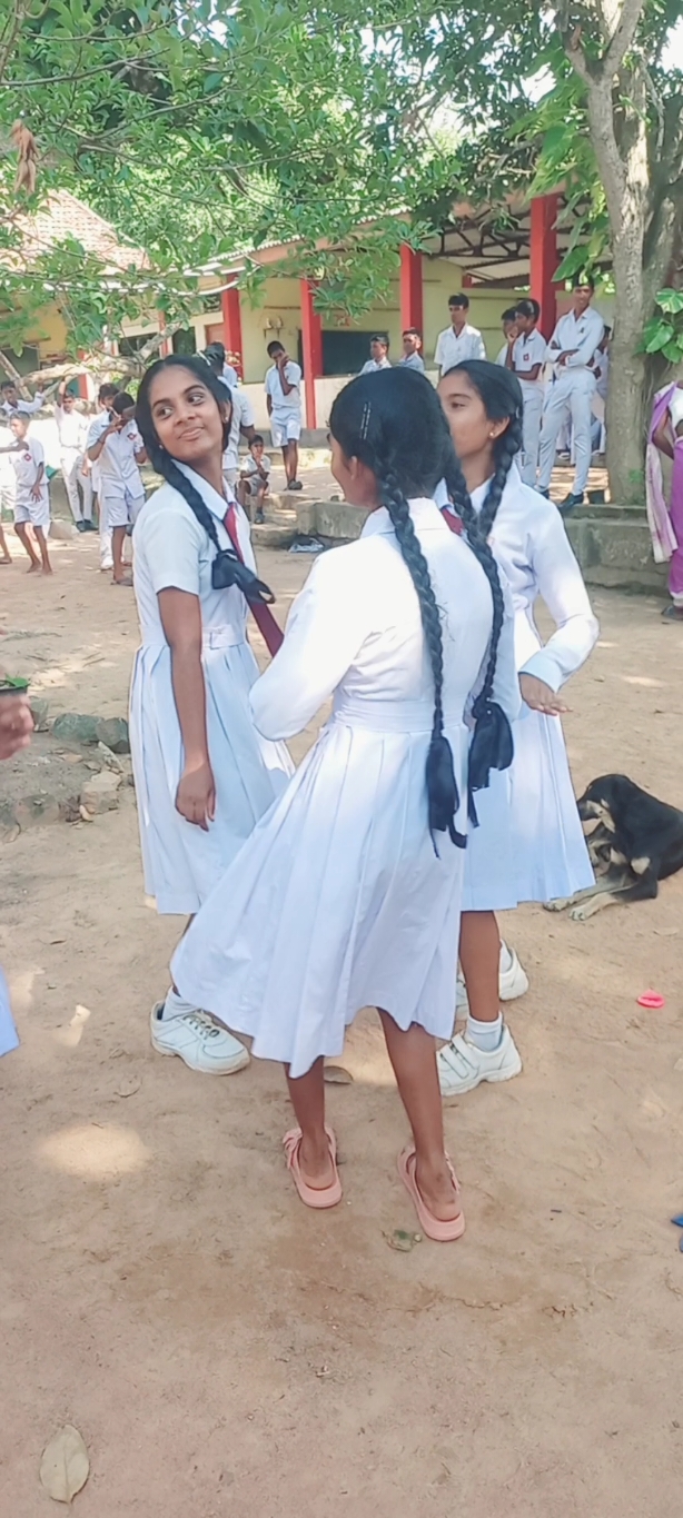 යමු අපි පාන්දරින් 🥰🥰❤❤❤💐💎#foryoupagе #children #tiktokviral #srilankan_tik_tok🇱🇰 #trend #trendingvideo#fb 