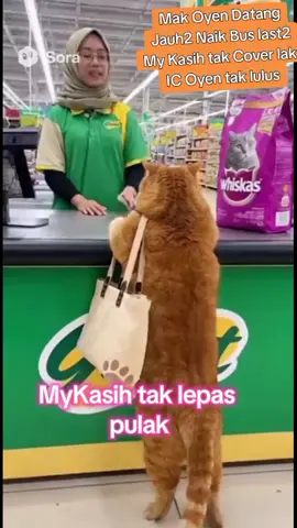 #oyen #oyennakal #oyenbuathal #oyencarigaduh 
