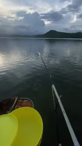 😌#haiaureachesfar 