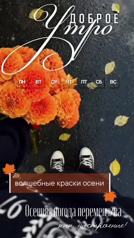 #доброе_утро☕️ #осень2025🍁🍂🥰 #четвергхорошегодня #октябрь2025🍁🍂 