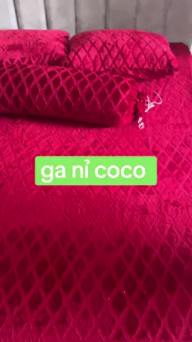 ga nỉ coco#xuhuong 