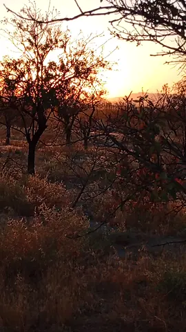 روزهای قشنگ عمرم رو بدهکار منی #مهستی #موسیقی #موزیک #irani #kordstan #کورد #افغانستان #بامیان #تاجیک #کرمانشاه #music #afghanistan #khaliji #چابهار 