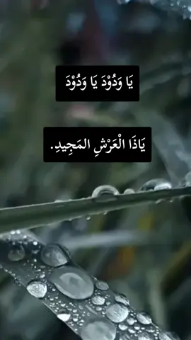 يَا وَدُوْدَ يَا وَدُوْدَ . يَاذَا الْعَرْشِ المَجِيدِ. يَا مُبْدِأَ يَا مُعِيدَ.#foryoupage #rast #viralvideos #fyp 