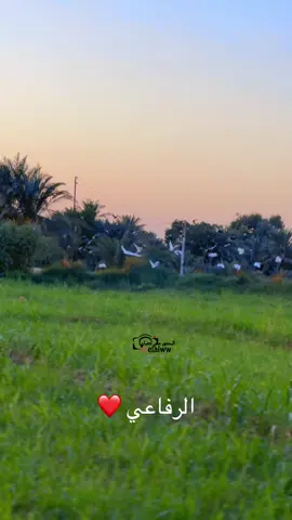 #_الرفاعي #تابعوني 