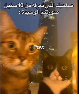 اي والله ☺️🤍