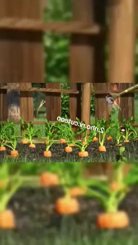 má bị flop rồi các con ạ#xhhhhhhhhhhhhhhhhhhhhhhhhhhhhh #viral #2nhonicuteoo #fyp 