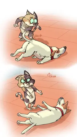 貓咪：狗子快起來，地上涼#畫一個故事 #看一遍笑一遍 #專治不開心 #小動物們能有多治癒 #搞笑萌寵 