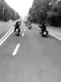 #commandos #Veterans #army #navy#Airborne #motorcycles #roadglidespecial #streetglide #motorcycle #mc #Veteran #CFFC #acab