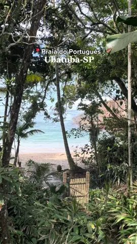 📍Praia do Português 🌊 ✨ #paraisotropical #aventuras #irmas #ubatuba #praia 