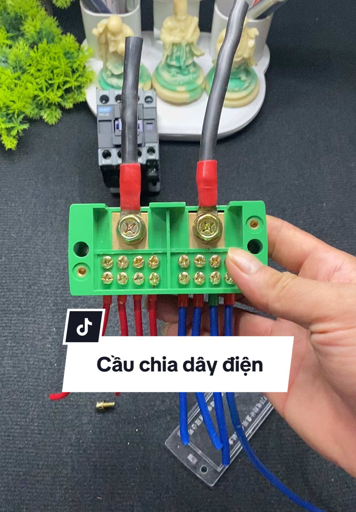 Cầu chia dây điện 1 pha:3 pha#cauchiadaydien #diendandung #diennuoc #giadungtienich #xuhuong 