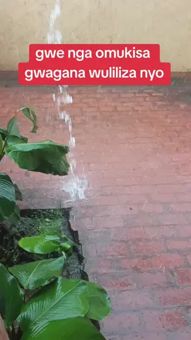 #100mviews #ugandatiktok🇺🇬 #fypシ゚viral #canada_life🇨🇦 #foryoupage 