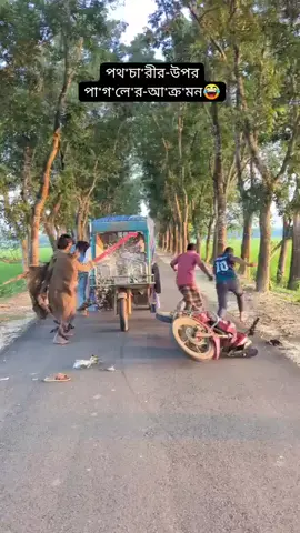 পাগলা তিতা মিটায়ে বোঝেনা 