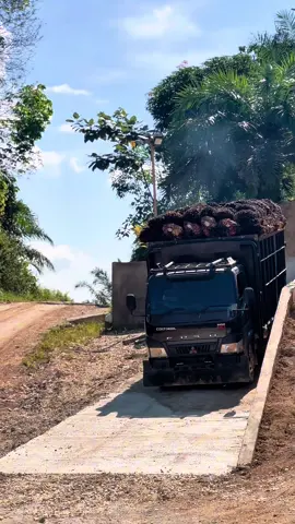 pemula 🙏 #truksawit #torangjaya #sawitjambi #trukjambi #damsiambang 