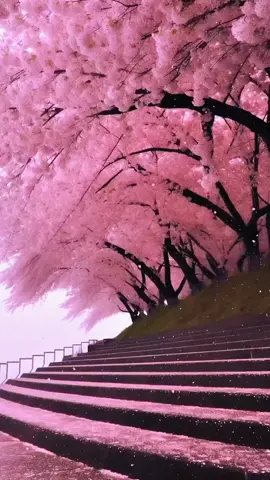 @💚🌿🌹예빈🌹🌿💚☑️ 