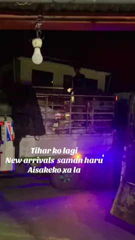 #foryoupage #niranjanafancycollection #telaulipulchok #visitourshop🙏🙏 #❤️🧿 @Puspa Thapa @SAMIR MAHATO @chhaya♾️ @NIRANJANA FANCY♾️ @Nīstä😎 