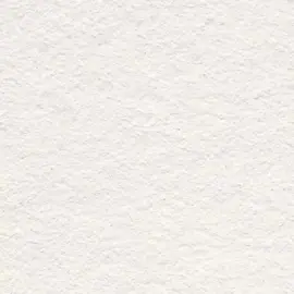 amigos conocí una mujer tan preciosa ❤️#leonardo_music #lamejordetodas #salsabaul #dedicar #buenosdiasporlamañana 