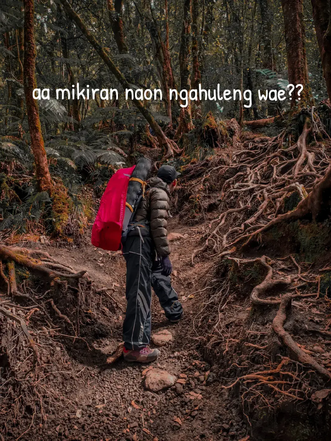 #4u #fyp #lewatberanda #Hiking #gununggede 