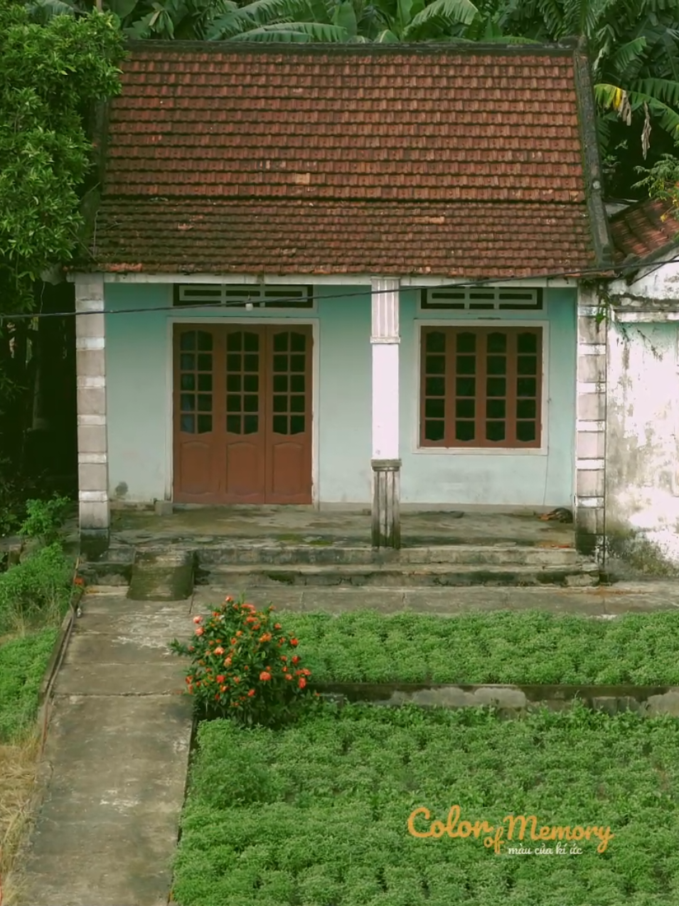 Ở quê vẫn luôn tĩnh mịch đến lạ. Những mái ngói rêu phong vẫn đợi ai đó trở về, quét lại sân, mở cánh cửa im lìm từ bao giờ. Con đường làng cũng nằm yên… Chỉ thức dậy khi Tết ghé qua — trong vài ngày ngắn ngủi. #colorofmemory #binhyen #Kyuc #peace #quehuong 