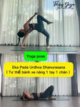 Hướng dẫn tư thế : Eka Pada Urdhva Dhanurasana ( Bánh xe 1 tay 1 chân )   💪Hãy khởi động thật trước khi thực hiện tư thế này  ✋Chống chỉ định : đau hoặc yếu cổ tay không thực hiện tư thế này  #yogaposesdaily  #yogabienhoa  #yogahonai  #cothuydayyoga  #xuhuong 