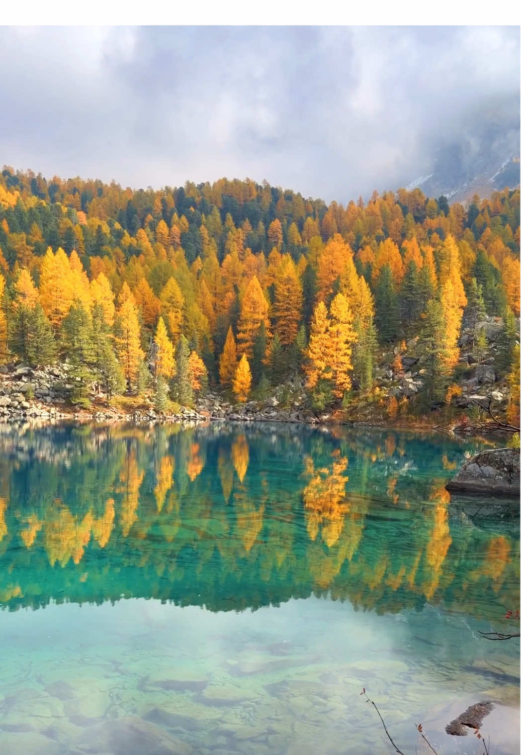 📍Lago di Saoseo, Switzerland 🇨🇭 Follow me for daily Swiss Content 🇨🇭 🎥 by @swissmici  #switzerland #mountains #schweiz #swissalps #myswitzerland 