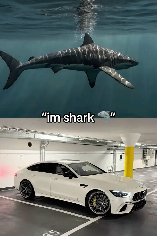 #bmw #fyp #viral #foryoupage #bmwmotorsport 