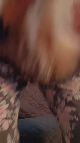 faccio lo zampicure ad Ettore🤣🤣🤣🤣 così vedete quanto é grosso😱🤣