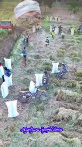 #syaifulkarim #kesadaran #makrifatullah #menitikedalamdiri #ayahgurusyaifulkarim 