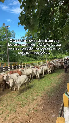 #humor #viral #coleo #paratiiiiiiiiiiiiiiiiiiiiiiiiiiiiiii #viraltiktok  