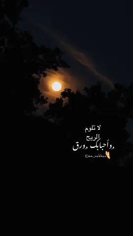 #foryou #fepシ#جوي_واجوائي🤎#تصويري📷 #مالي_خلق_احط_هاشتاقات🧢
