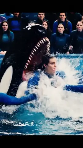#orcashark #jessica #orcakilljessica #dolphins #trendingvideo #unitedstates #viralvideos 