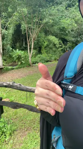 อยู่ก็อยากเดินป่า#ภูสอยดาว#เดินป่า 