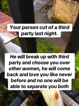 #soulmate #exback #lovespell #manifestloveback #lovespell 