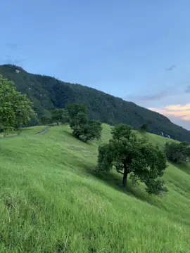 I love vieww💚🍃🫶🏻 #nature #makeitviral #fyp #mtlanayaalegria 