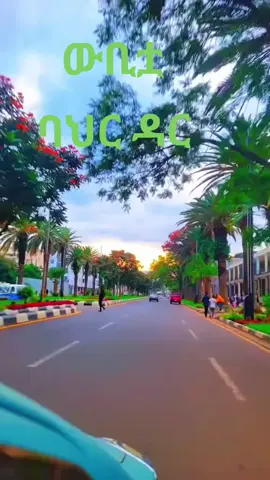 #ኢትዮጵያ_ለዘለዓለም_ትኑር🇪🇹🇪🇹🇪🇹 #አማራዬ💚💛❤አማራዬ💚💛❤ #tigiraytik💊💊 