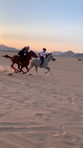 تنسيم الابطال كسـار و طوفان#اكسبلور_exblore #خيل_وخياله🐎 #explore #خيول #النسيين 