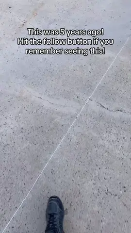 Everyday the trash truck would come and so I made it a mission to save them every single day! I have so much footage I never posted #trashpandas #raccoonpapi #raccoonsoftiktok #raccoon #babyraccoon 