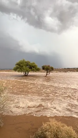 #اكسبلور #كشتة #القصيم #قصيد #شتاء 