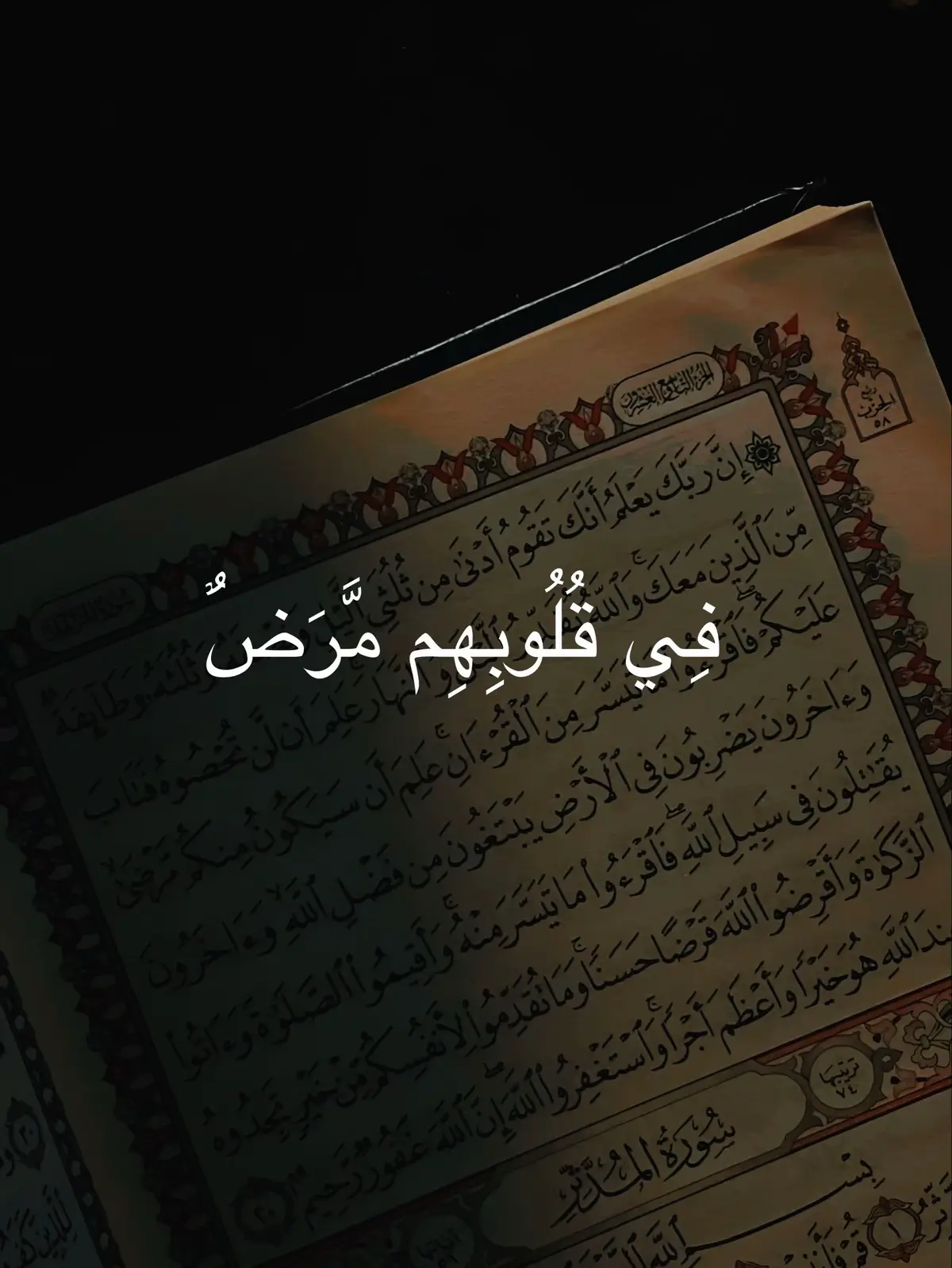 #قران_كريم #تلاوة_خاشعة #quran_alkarim #quran 