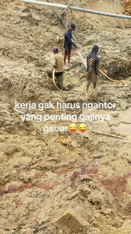 gacor ketua #dompengdarat #dompenggacor🔥 #fypviralシ #4upage #tambangkalimantan 