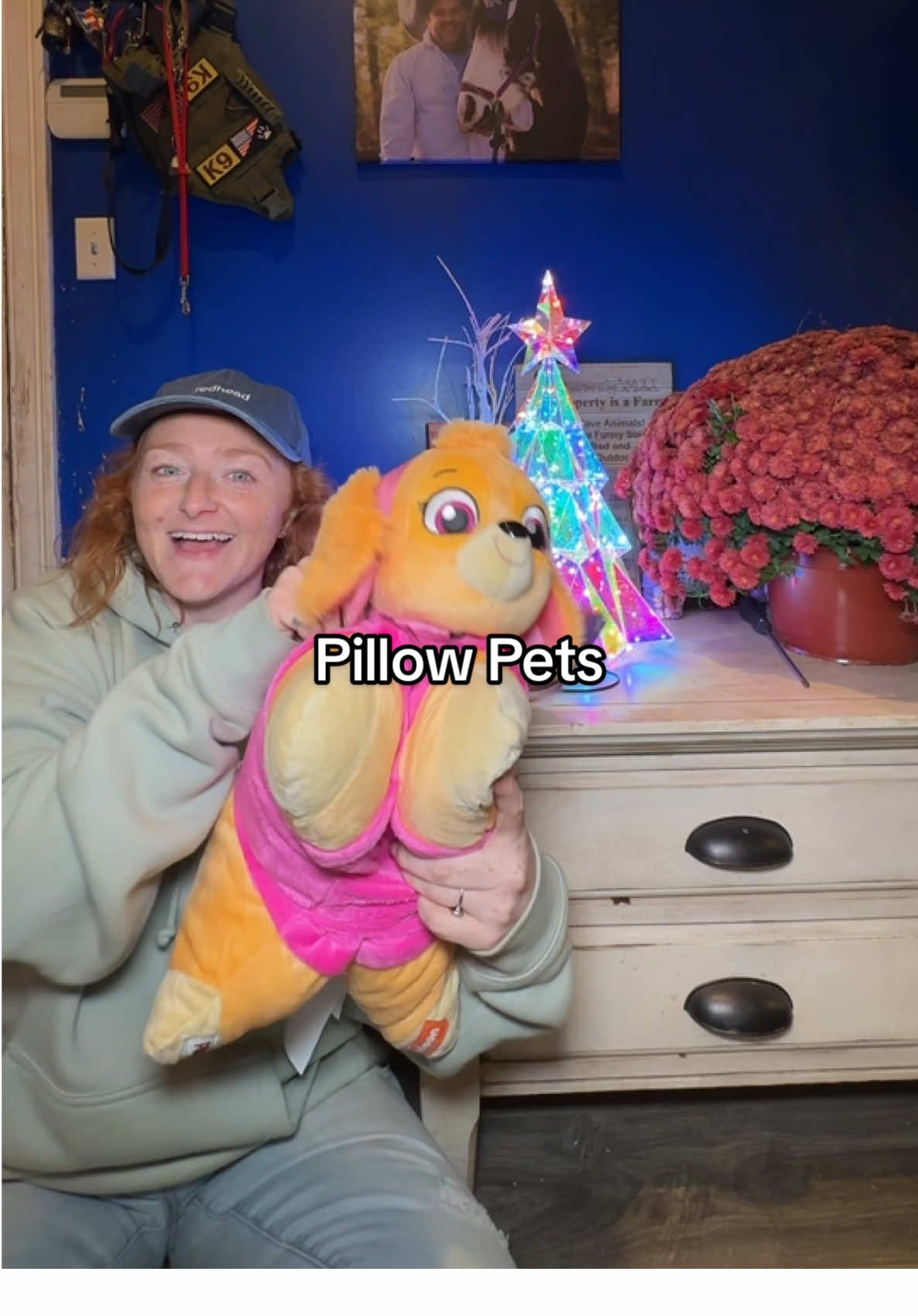 I can’t wait for Quinny to see Skye on Christmas @QVC, Inc #pillowpet #pillowpets #pawpatrol #christmasgiftideas #tiktokshopblackfriday 