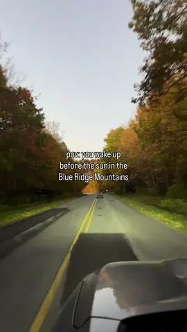 This was on 10/14/25! Peak or near peak conditions on the Blue Ridge Parkway in Avery County, North Carolina! #fall #blueridgemountains #northcarolina 
