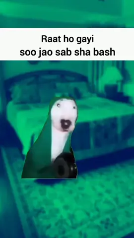 Shah Bash 😅 . . #foryou #foryoupage #memes_by_haseeb5 #unfreezz_myaccount # 